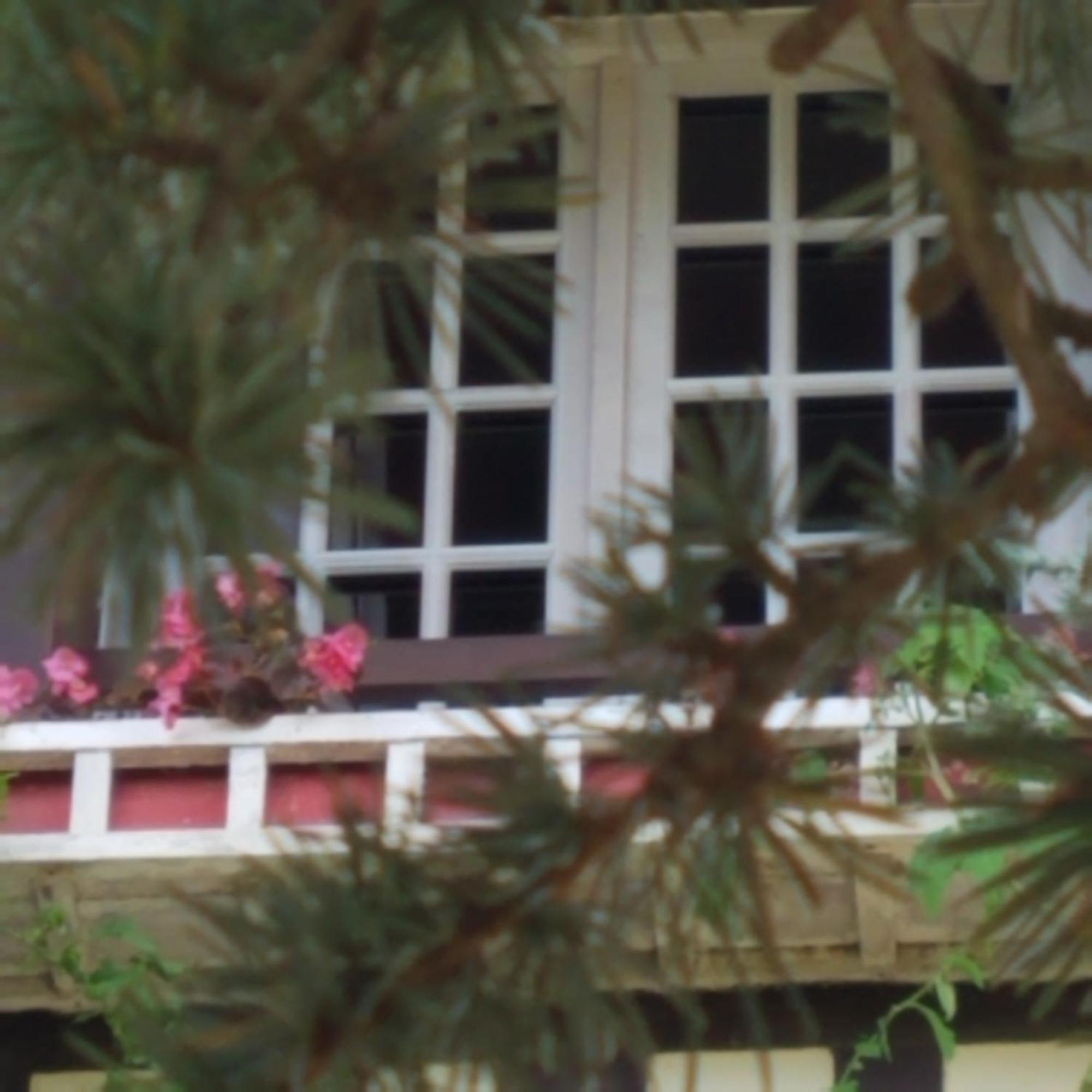 Le Vieux Pre De La Motte Villers-sur-Mer Exterior foto